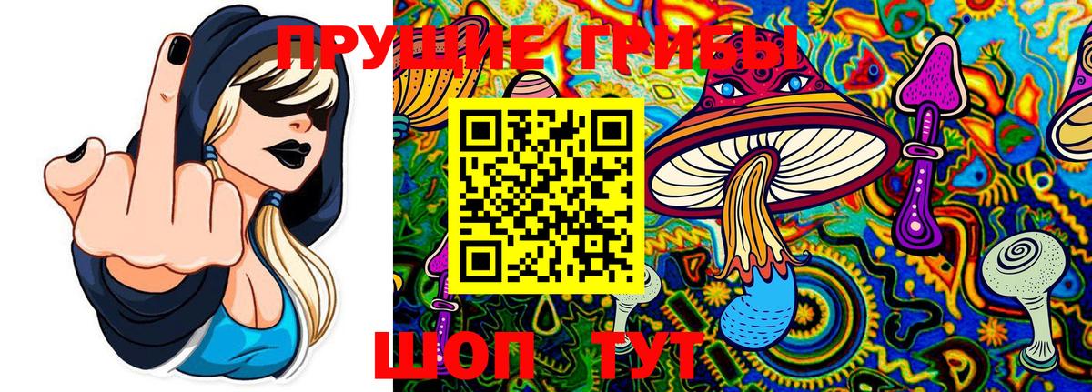 Галлюциногенные грибы мицелий  Псилоцибиновые грибы Cubensis  Солнечногорск  Вход с VPN 