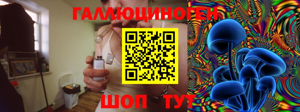 Галлюциногенные грибы Cubensis Солнечногорск